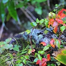 20121007_yakedake_yw_0063.jpg
