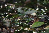 20111018_hakuba_yw_00434.jpg