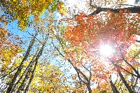 20111018_hakuba_yw_00381.jpg